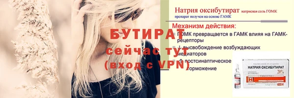 гашик Козельск