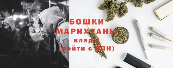 гашик Козельск