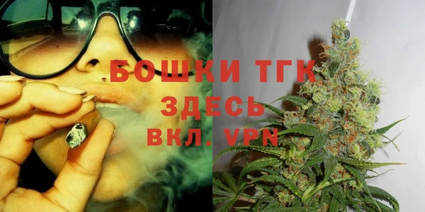 гашик Козельск